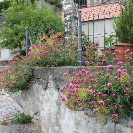 Apartamento Vista Legnone *